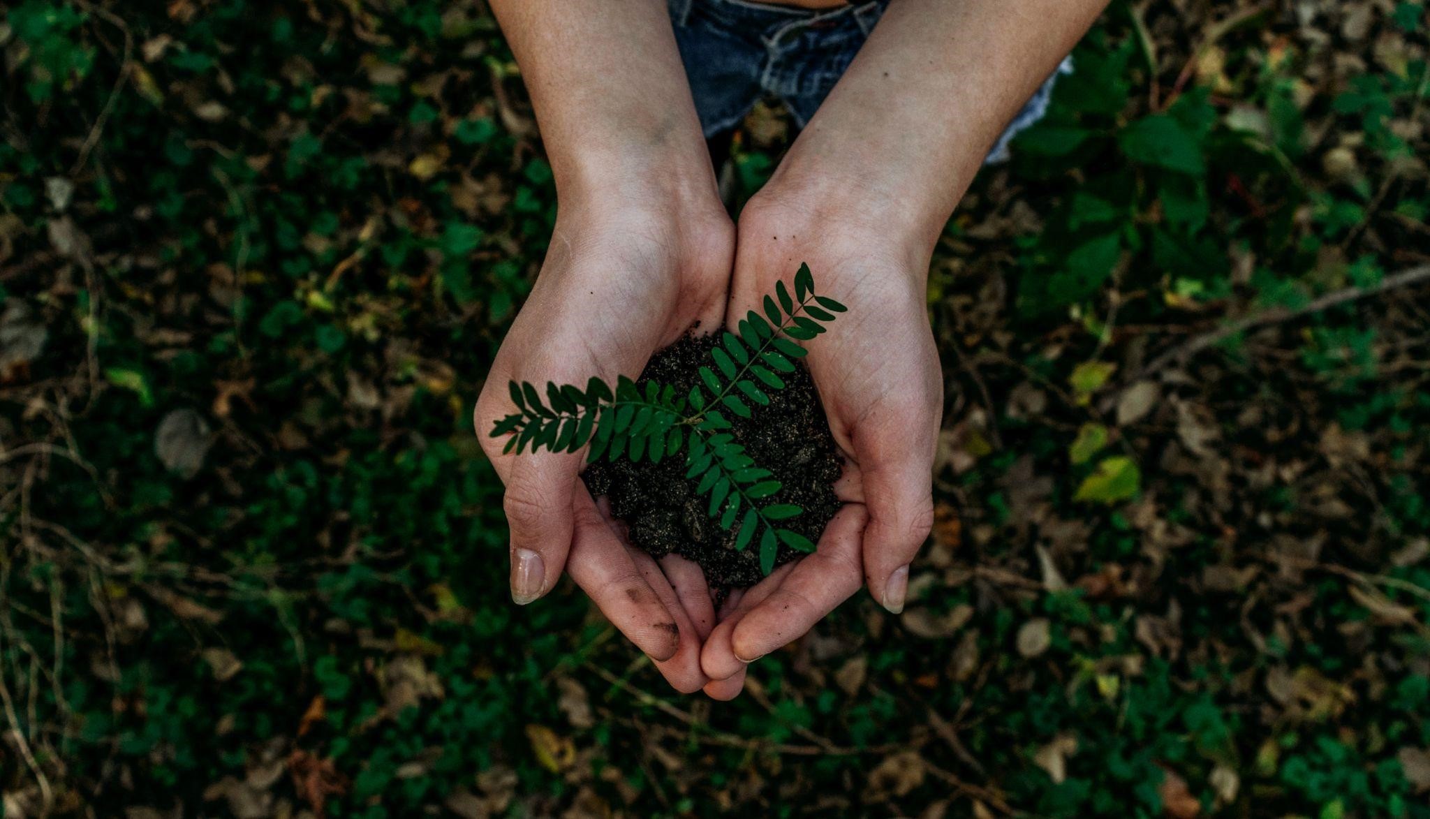 When SDGs conflict: Hydropower, people and the environment