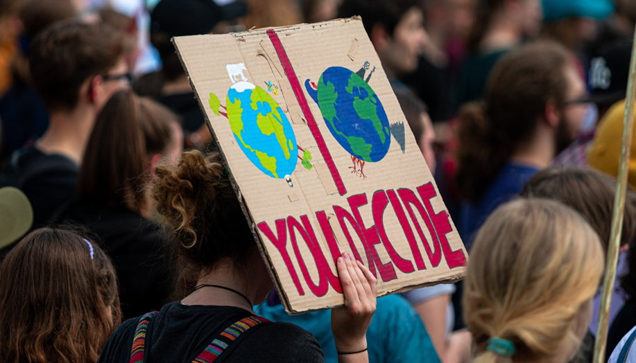 Expensive but effective: Why citizens support costly but durable carbon removal practices